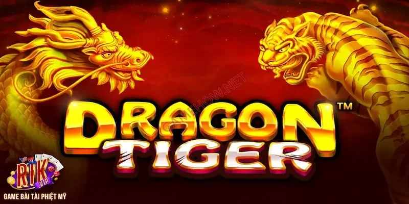 Ghi chép lại quá trình chơi bài Rồng Hổ